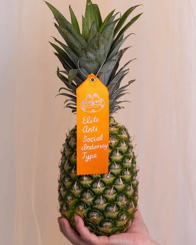 A hand holding a pineapple, on which hangs an orange award ribbon with silver foil lettering and illustration. There's a drawing of Garfield and the text "Elite Anti Social Indoorsy Type."