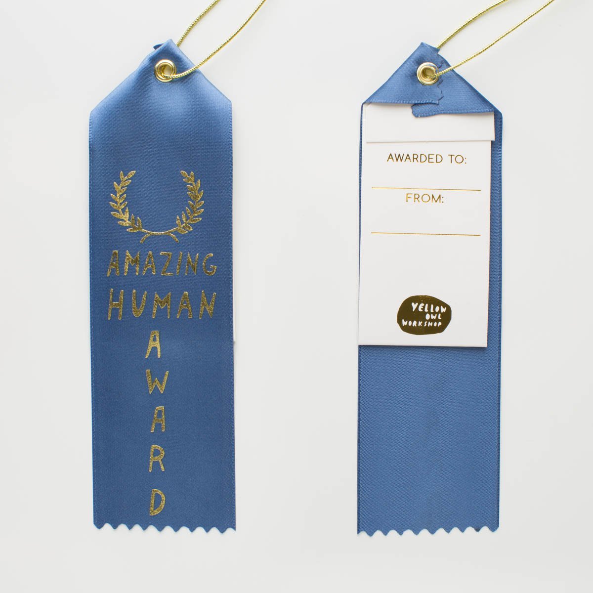 Amazing Human Award - Award Ribbon Card - Yellow Owl Workshop